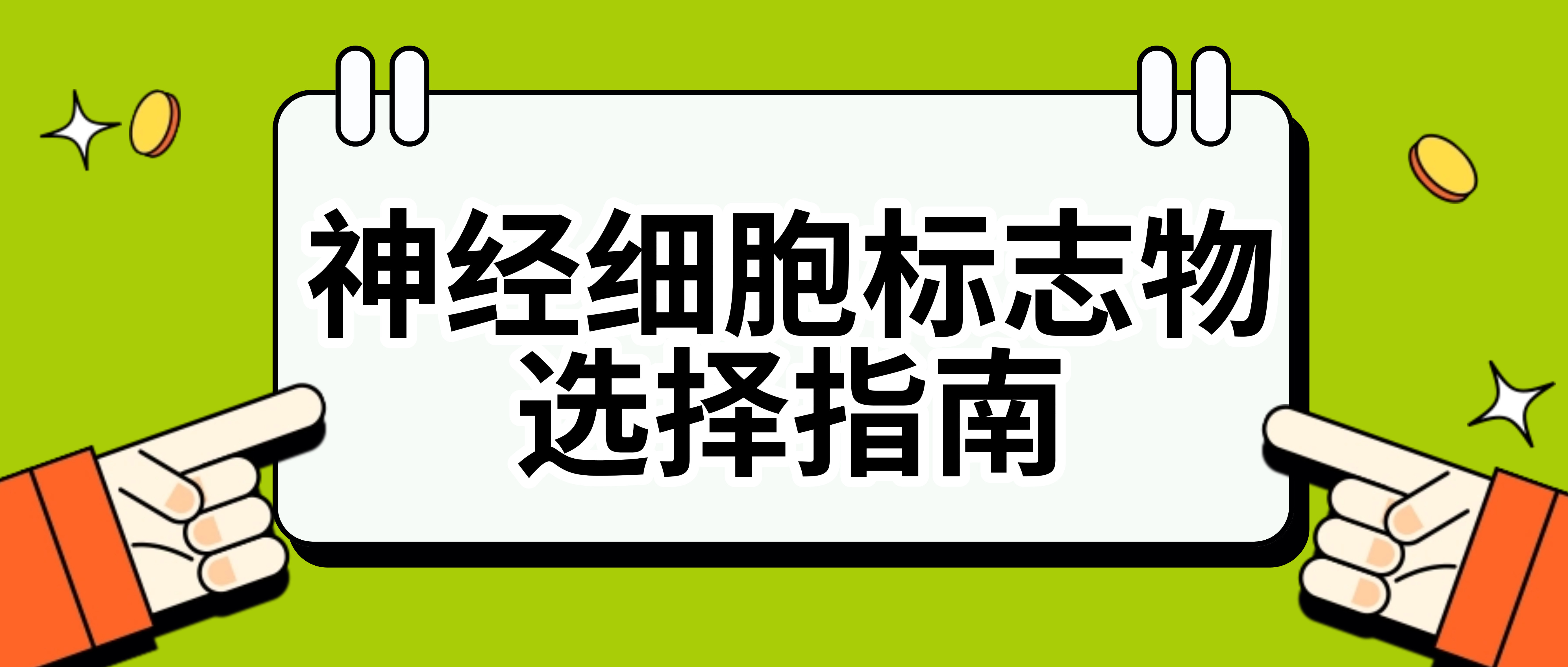 標簽抗體